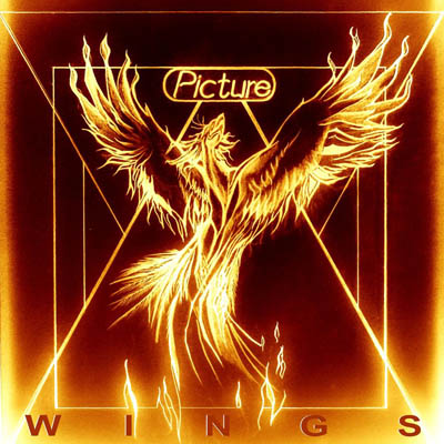 Cover_PICTURE_Wings.jpg